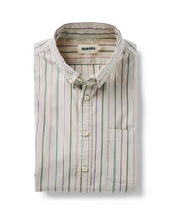 The Jack in Algiers Stripe