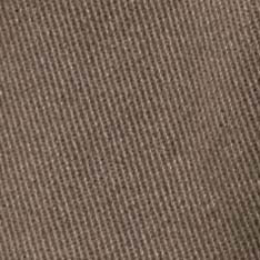 The Apres Short in Organic Espresso Foundation Twill