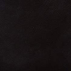 The Moto Jacket in Black Steerhide